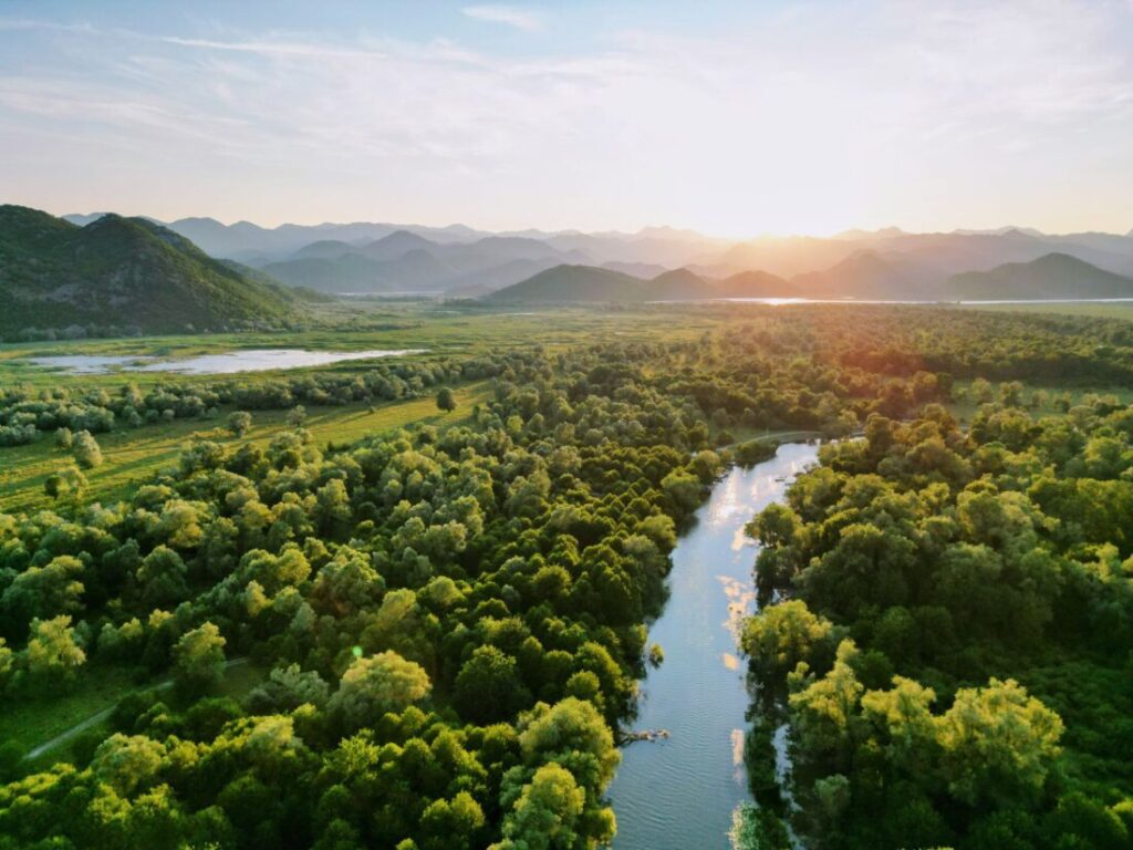 Skutarisee Montenegro | Was ihr hier unternehmen könnt