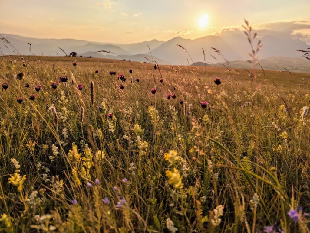 Durmitor National Park | All You Need To Know Before You Go Durmitor National Park | All You Need To Know Before You Go