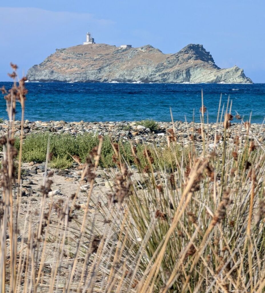 Sentier des Douaniers Cap Corse: Wanderung ab Barcaggio (2026) Sentier des Douaniers Cap Corse Ausblick