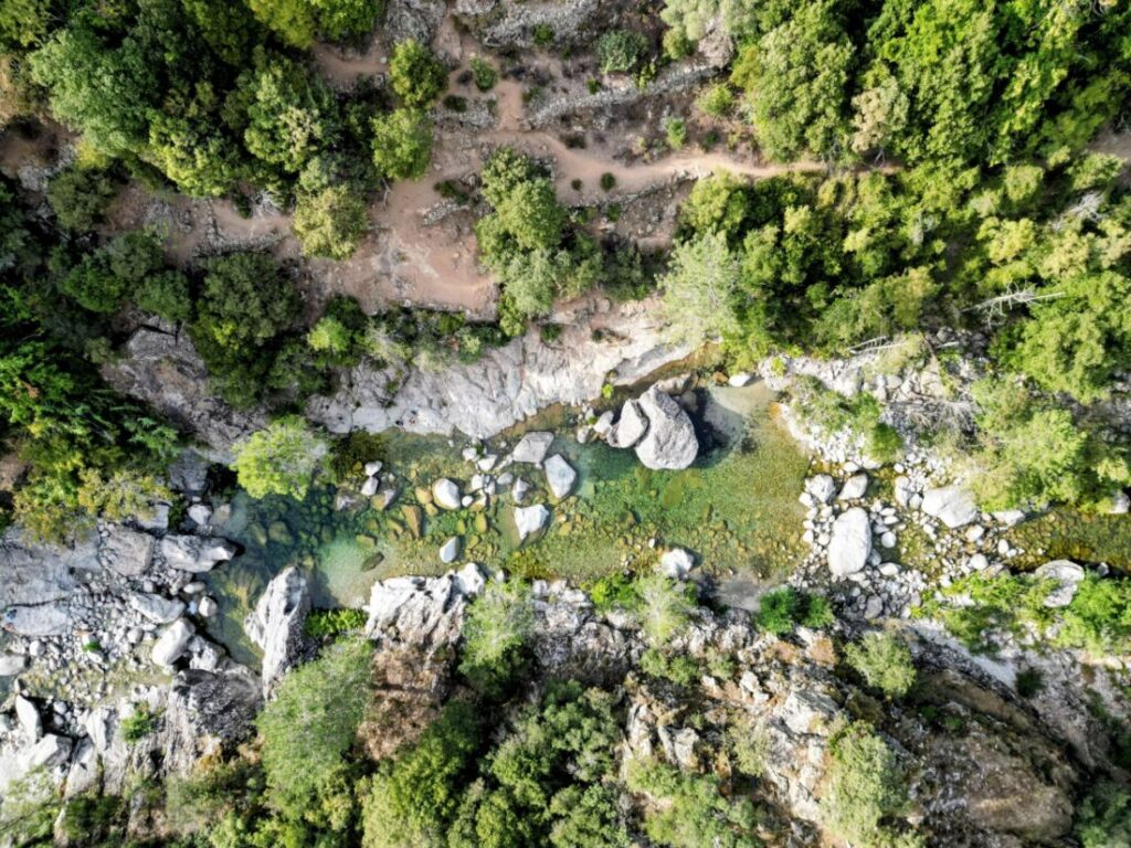Corte Corsica: Best Things to Do & Highlights (2026) Wanderung im Restonica Tal in Corte Korsika