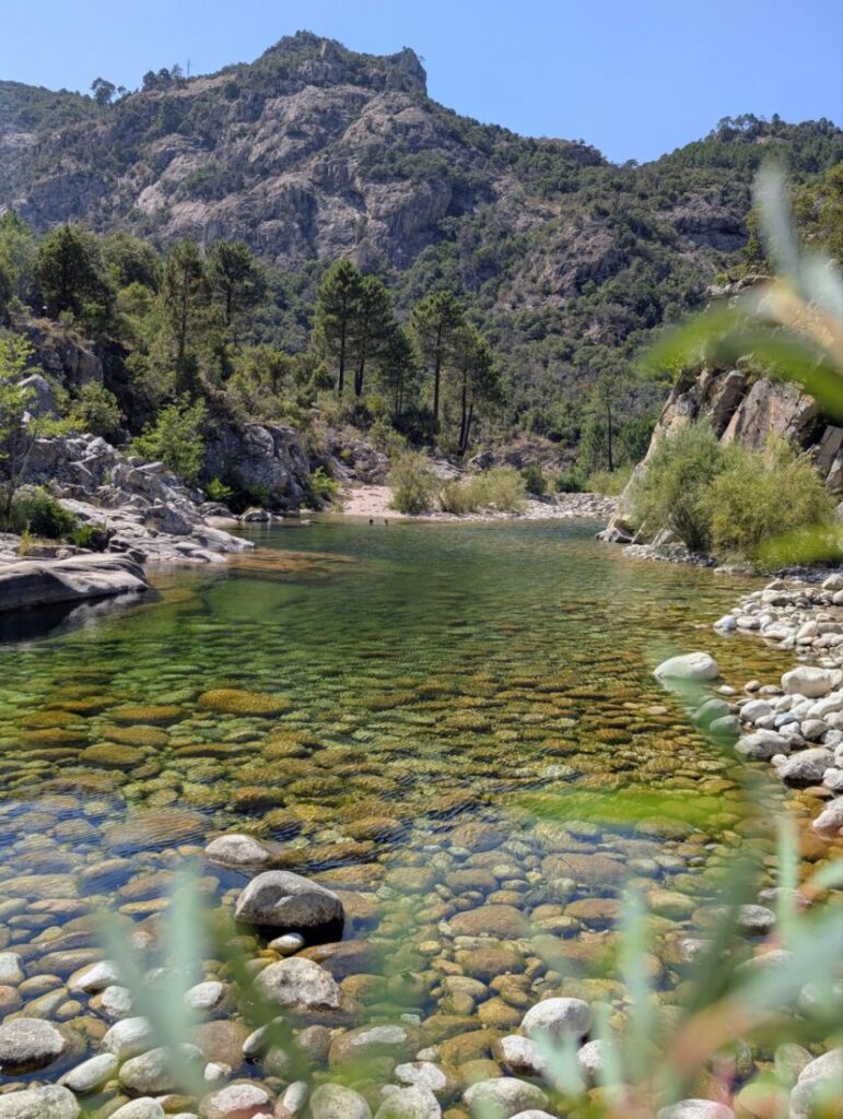 Badegumpe am Solenzara Fluss auf Korsika